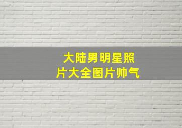 大陆男明星照片大全图片帅气