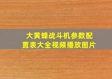 大黄蜂战斗机参数配置表大全视频播放图片