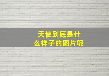 天使到底是什么样子的图片呢