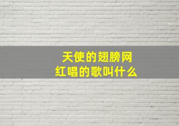 天使的翅膀网红唱的歌叫什么