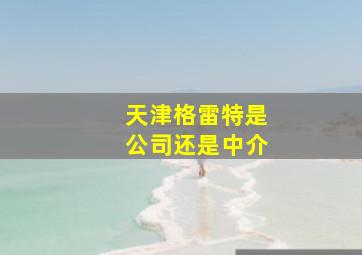 天津格雷特是公司还是中介