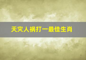 天灾人祸打一最佳生肖