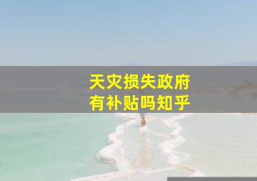 天灾损失政府有补贴吗知乎