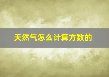 天然气怎么计算方数的