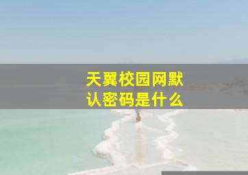 天翼校园网默认密码是什么