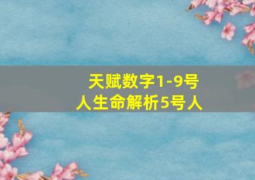 天赋数字1-9号人生命解析5号人