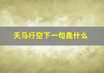 天马行空下一句是什么