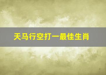 天马行空打一最佳生肖