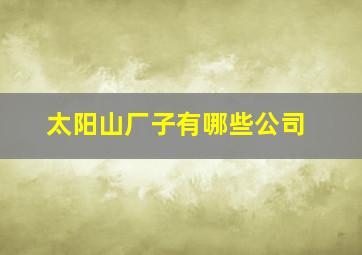 太阳山厂子有哪些公司