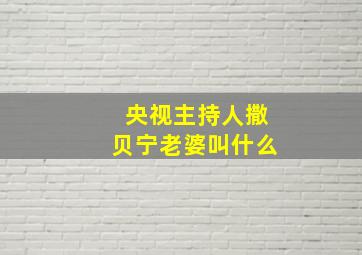 央视主持人撒贝宁老婆叫什么