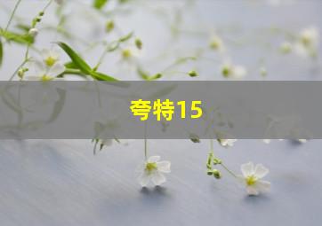 夸特15