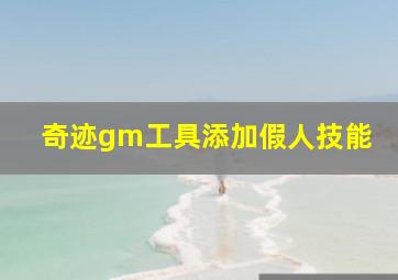 奇迹gm工具添加假人技能