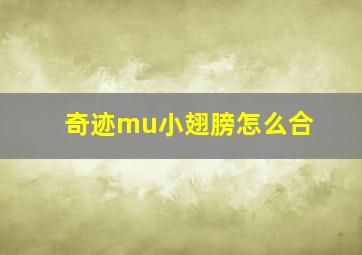 奇迹mu小翅膀怎么合