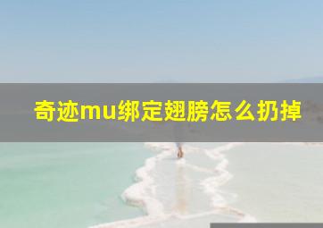 奇迹mu绑定翅膀怎么扔掉