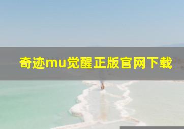 奇迹mu觉醒正版官网下载