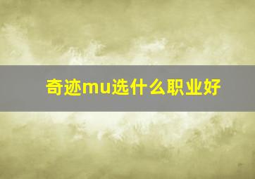 奇迹mu选什么职业好