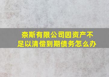 奈斯有限公司因资产不足以清偿到期债务怎么办