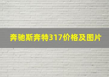 奔驰斯奔特317价格及图片