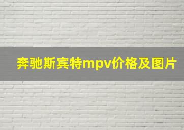 奔驰斯宾特mpv价格及图片