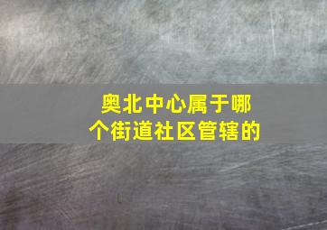 奥北中心属于哪个街道社区管辖的