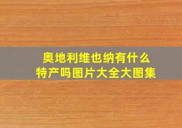 奥地利维也纳有什么特产吗图片大全大图集