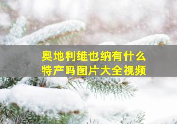 奥地利维也纳有什么特产吗图片大全视频