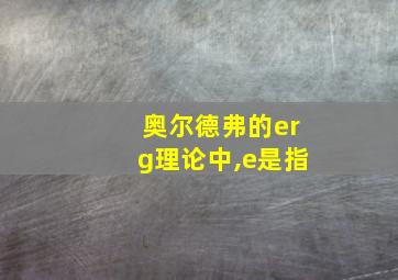 奥尔德弗的erg理论中,e是指