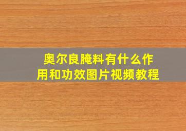 奥尔良腌料有什么作用和功效图片视频教程