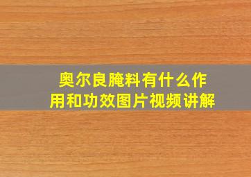 奥尔良腌料有什么作用和功效图片视频讲解