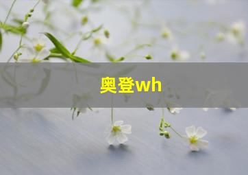 奥登wh