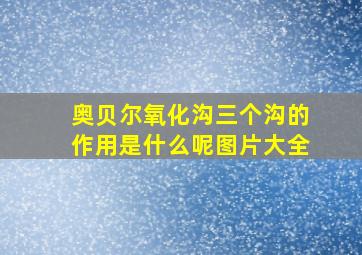 奥贝尔氧化沟三个沟的作用是什么呢图片大全