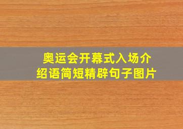 奥运会开幕式入场介绍语简短精辟句子图片