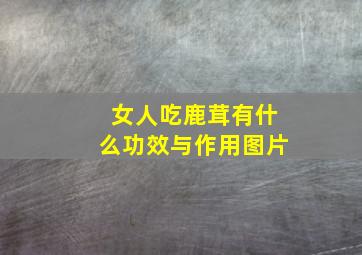 女人吃鹿茸有什么功效与作用图片