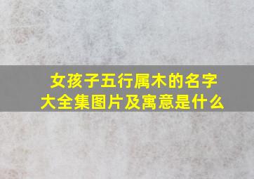 女孩子五行属木的名字大全集图片及寓意是什么