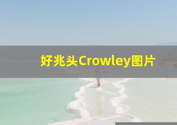 好兆头Crowley图片