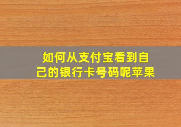 如何从支付宝看到自己的银行卡号码呢苹果