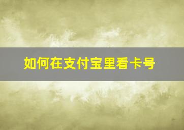 如何在支付宝里看卡号