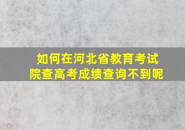 如何在河北省教育考试院查高考成绩查询不到呢