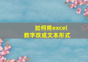 如何将excel数字改成文本形式