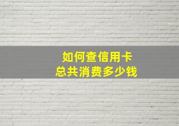 如何查信用卡总共消费多少钱