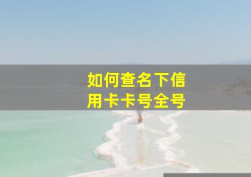 如何查名下信用卡卡号全号