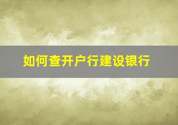 如何查开户行建设银行