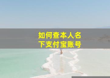 如何查本人名下支付宝账号