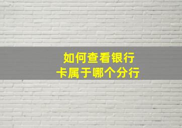 如何查看银行卡属于哪个分行