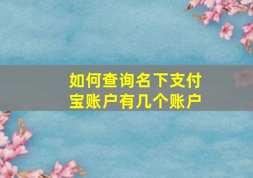 如何查询名下支付宝账户有几个账户