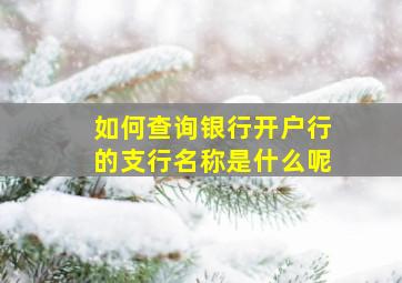 如何查询银行开户行的支行名称是什么呢