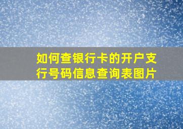 如何查银行卡的开户支行号码信息查询表图片