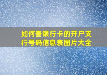 如何查银行卡的开户支行号码信息表图片大全