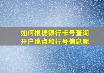 如何根据银行卡号查询开户地点和行号信息呢