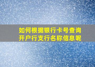 如何根据银行卡号查询开户行支行名称信息呢